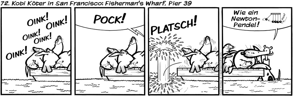 72. Kobi Köter in San Francisco: Fisherman's Wharf, Pier 39