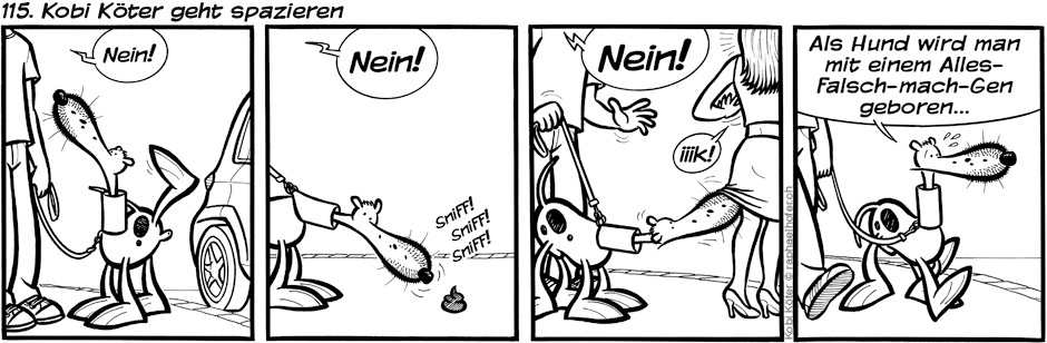 115. Kobi Köter geht spazieren