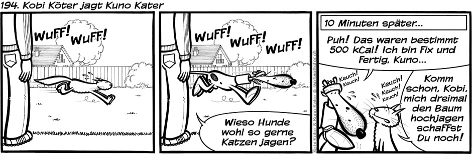 194. Kobi Köter jagt Kuno Kater